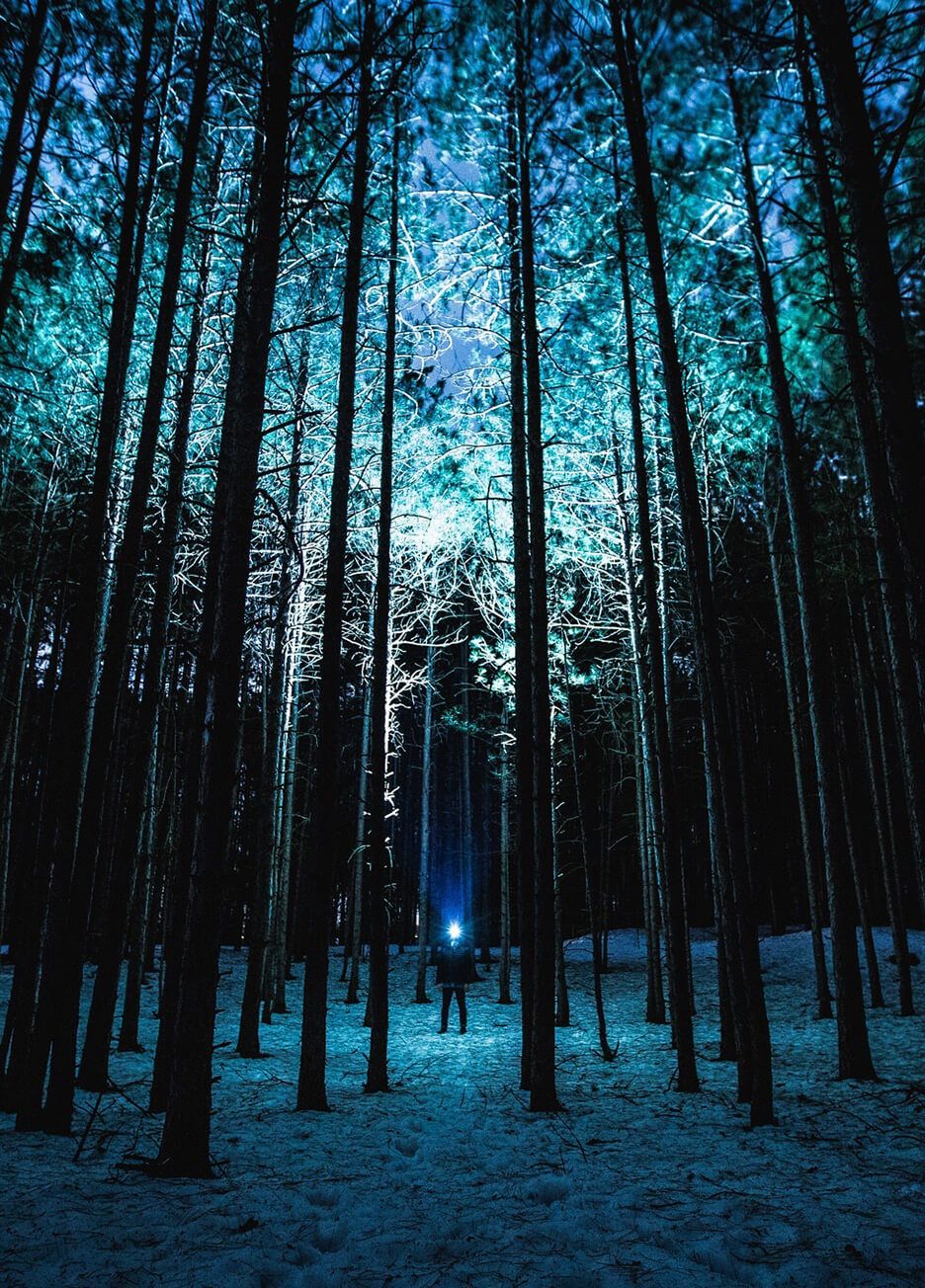 Gratis rechtenvrije foto's voor je web projecten 6 stocksnap.io