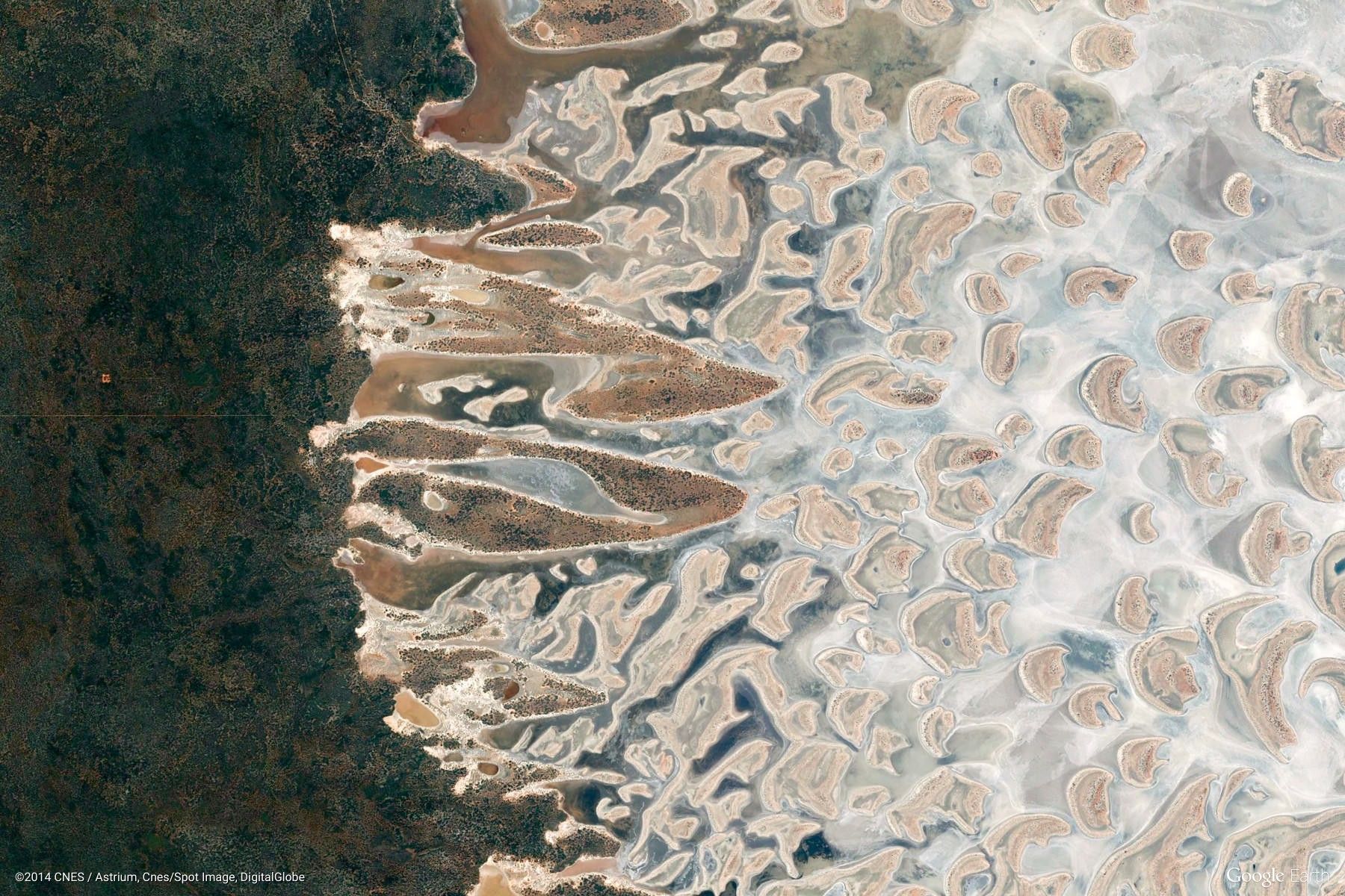 salmon gums australia 2397